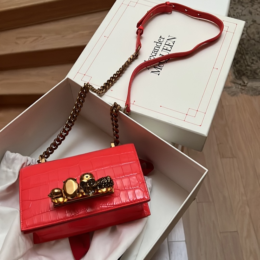 Brand new . Never worn. Alexander McQueen bag